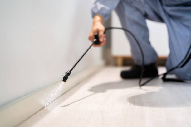 Licensed Pest Control service in Santa Barbara, CA - Show Me Pest Control