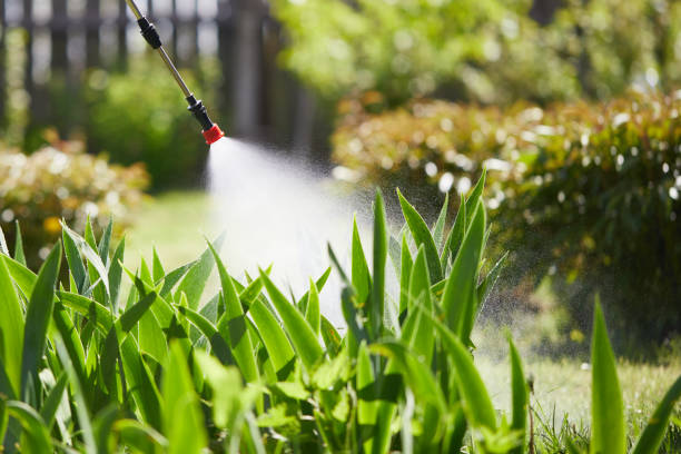 Tamper-Resistant Bait Stations for Rodents in Santa Barbara