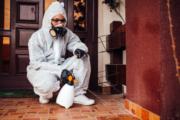 Attic and Crawl Space Rodent Treatment in Santa Barbara